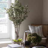 Charles Ted Santorini Grove Faux Olive Tree | 150cm