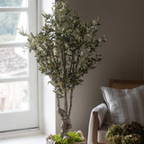 Charles Ted Santorini Grove Faux Olive Tree | 150cm