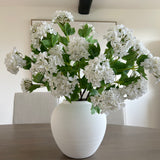 Charles Ted Hydrangea spray | Cream