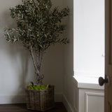 Charles Ted Santorini Grove Faux Olive Tree | 150cm