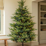 Decorated Christmas tree in a room with a window and shelves.