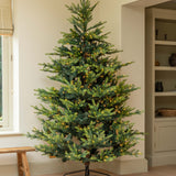 Decorated Christmas tree in a room with a window and shelves.
