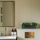 Charles Ted Succulent & Skimmia Arrangement