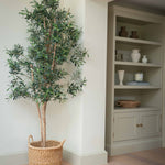 Bring Timeless Mediterranean Charm to Your Space with Our Faux Olive Tree
Add a touch of natural elegance to any room with our artificial olive tree, designed to replicate the delicate beauty of a real olive plant without the upkeep. Standing at an impressive 180cm (5.9 feet), this lifelike faux olive tree features slender branches, realistic green leaves, and carefully crafted faux olives for an authentic look.
Perfect for home interiors, offices, or commercial spaces, this artificial indoor olive t