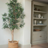 Bring Timeless Mediterranean Charm to Your Space with Our Faux Olive Tree
Add a touch of natural elegance to any room with our artificial olive tree, designed to replicate the delicate beauty of a real olive plant without the upkeep. Standing at an impressive 180cm (5.9 feet), this lifelike faux olive tree features slender branches, realistic green leaves, and carefully crafted faux olives for an authentic look.
Perfect for home interiors, offices, or commercial spaces, this artificial indoor olive t