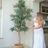 Woman in a white dress standing next to a potted olive tree indoors.