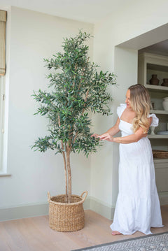 Woman in a white dress standing next to a potted olive tree indoors.
