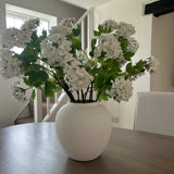 Charles Ted Hydrangea spray | Cream