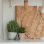 faux rosemary bush in stone pot