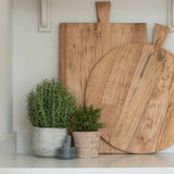 faux rosemary bush in stone pot