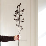 Hand holding a Charles Ted Cone Spray with small pine cones on delicate brown branches against a neutral background