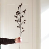 Hand holding a Charles Ted Cone Spray with small pine cones on delicate brown branches against a neutral background