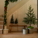 Charles Ted Faux Noble Pine Tree | 112cm