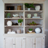A pale-colored double fronted cabinet made from old pine, featuring multiple shelves with various decorative items like plants, vases, and books.