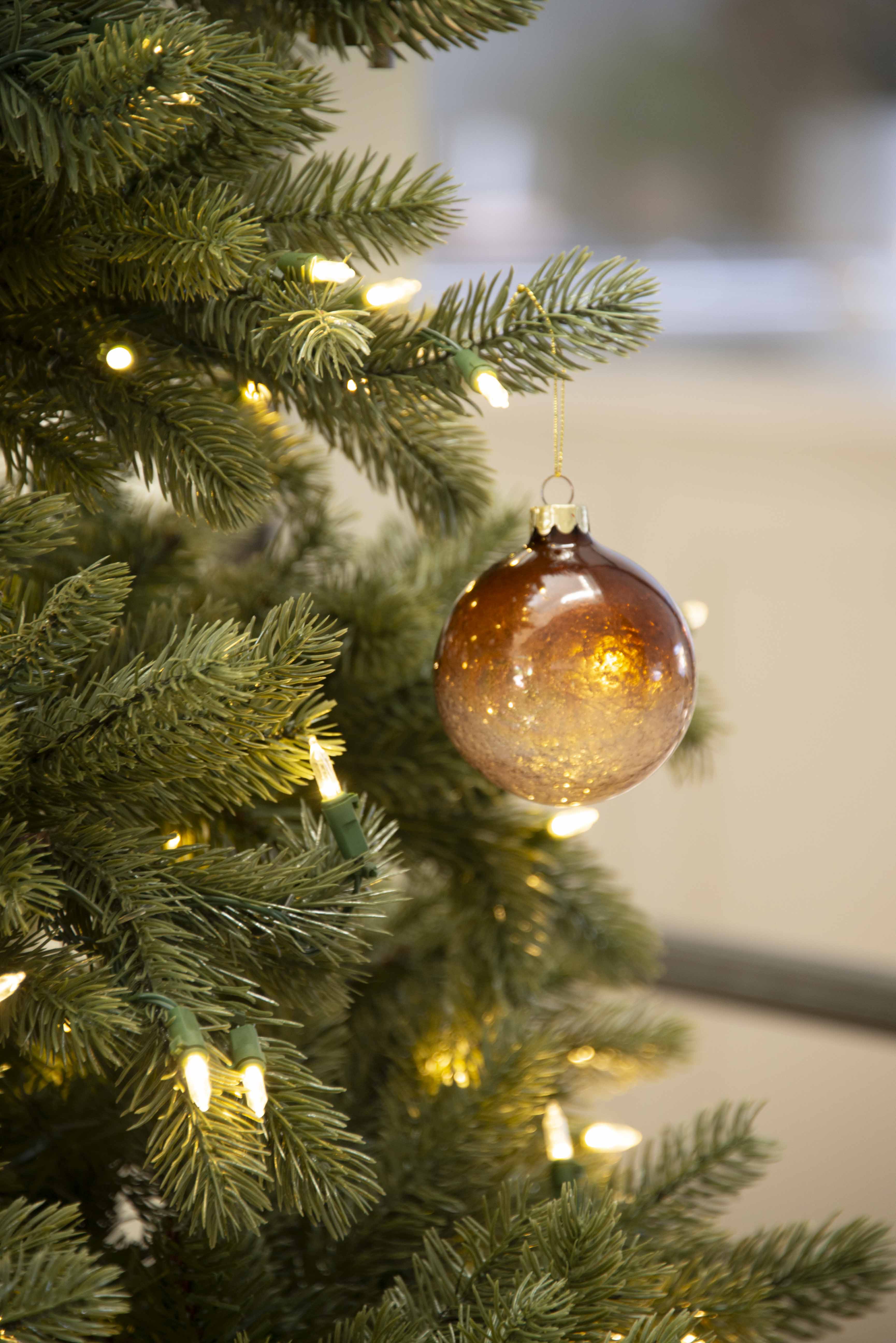 Charles Ted bauble hanging on Christmas tree with lights