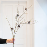 Hand holding a Charles Ted Pinecone Twig with frosted pinecones on delicate brown branches against a neutral background