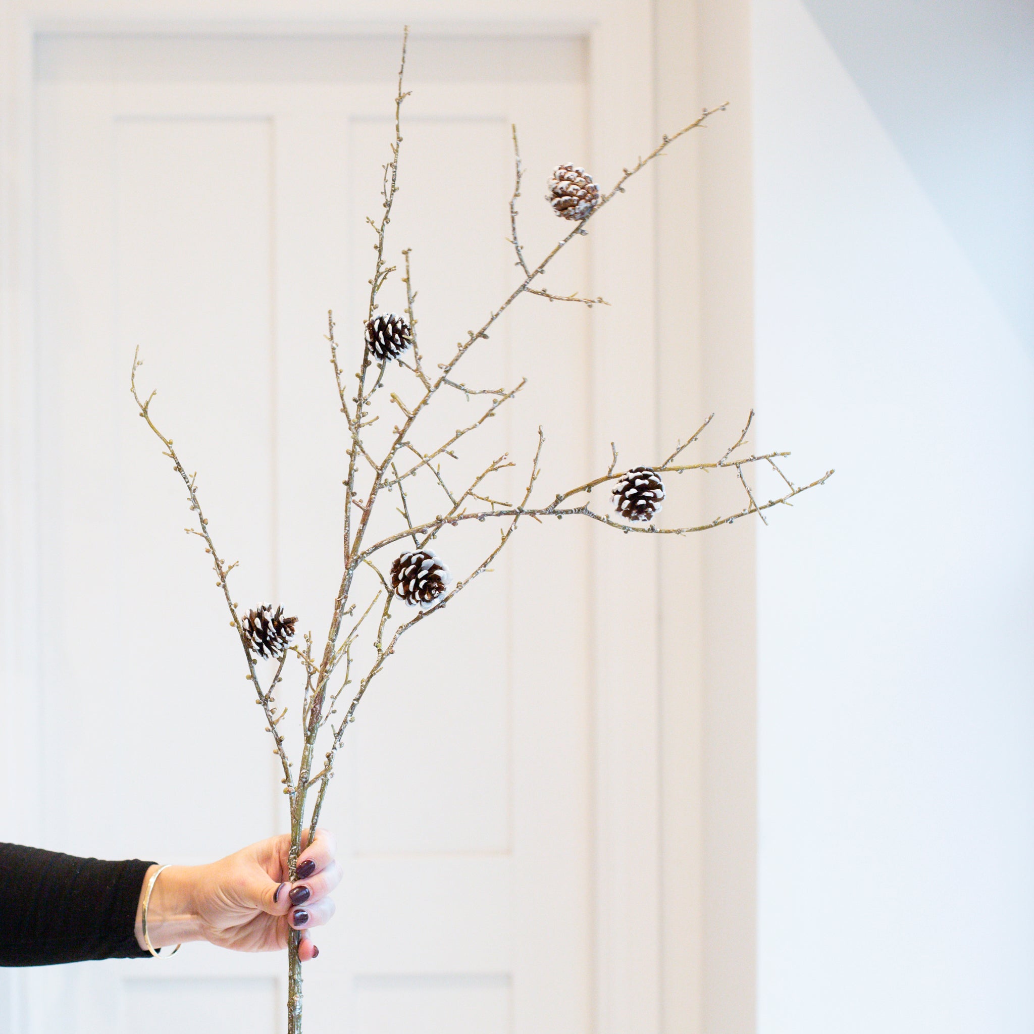 Hand holding a Charles Ted Pinecone Twig with frosted pinecones on delicate brown branches against a neutral background