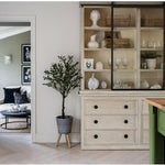 Narrow hallway with a wooden cabinet, plant, and view into another room.