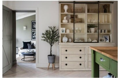 Narrow hallway with a wooden cabinet, plant, and view into another room.
