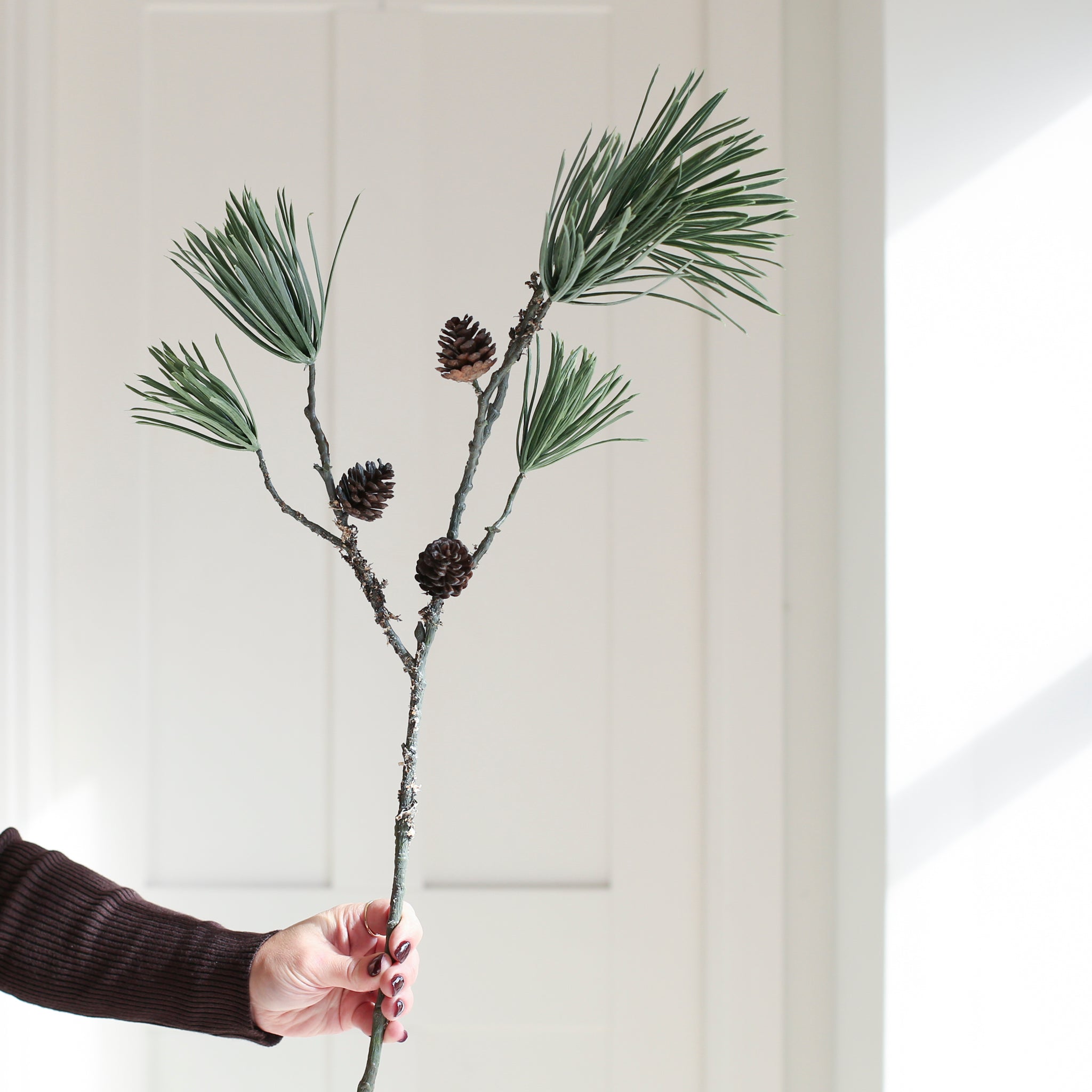 Charles Ted Scot's Pine Cone Spray with long pine needles and cones displayed in a hand