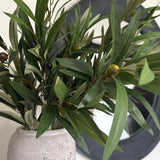 Charles Ted Mediterranean Faux Olive Spray | Three Stems