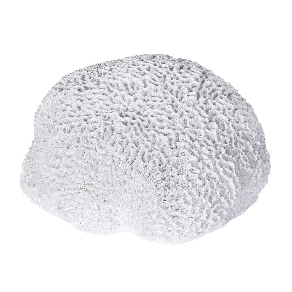 Coastal-inspired white coral decorative accent