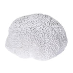 Coastal-inspired white coral decorative accent