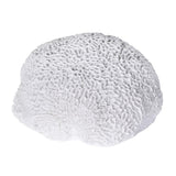 Coastal-inspired white coral decorative accent