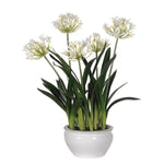 A faux white agapanthus plant in a ceramic bowl