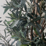 Charles Ted Amalfi Faux Olive Tree –  Realistic Artificial Indoor Tree