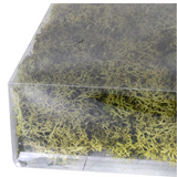 Charles Ted Large Bag of Real Green Moss