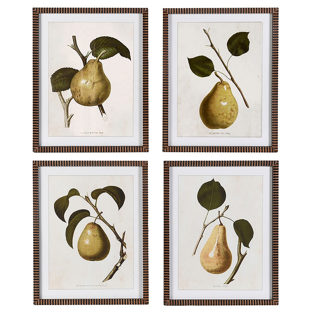 A set of four framed artwork pieces, each featuring a detailed illustration of a pear against a white background, with striped wooden frames.