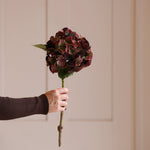 A person holding a lifelike faux burgundy hydrangea flower with hints of green.