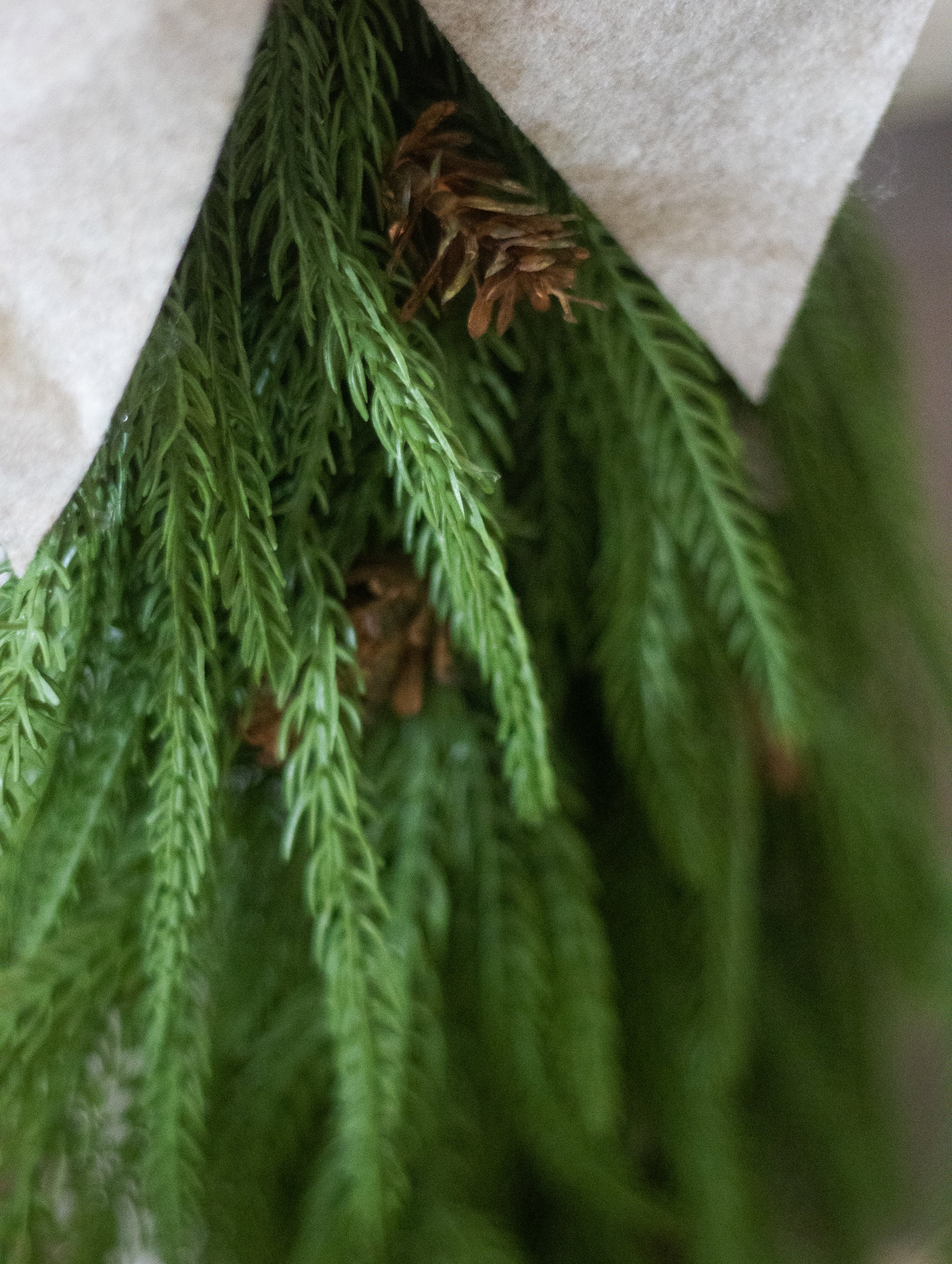 CHRISTMAS SWAG DECORATION HANGING ON DOOR CLOSE UP