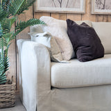 Beige sofa with decorative pillows against a wooden wall with framed artwork