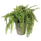 Charles Ted Faux Green Fern in Stoneware Pot