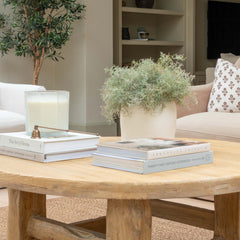 Spanish Moss arrangement in rustic vase on coffee table
