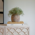 Spanish Moss faux plant styled on books and decorative pot