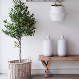 large faux olive tree
