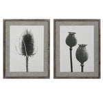 Set of two prints featuring dried poppy and teasel stems framed in a warm wooden frame.