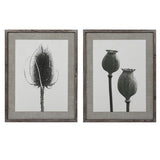 Set of two prints featuring dried poppy and teasel stems framed in a warm wooden frame.
