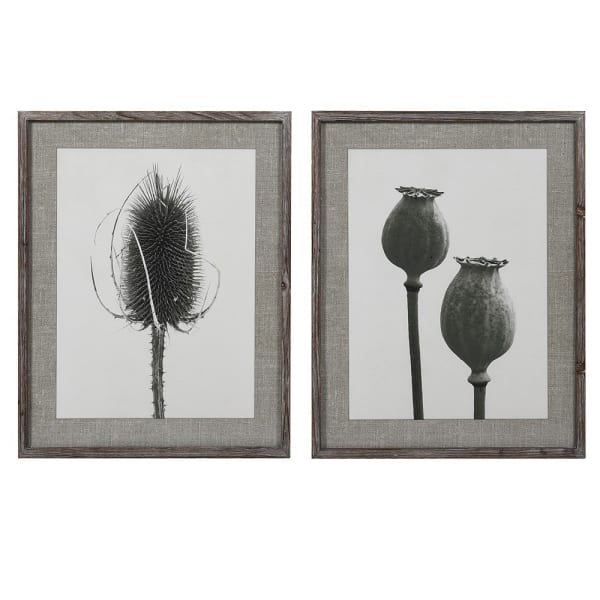 Set of two prints featuring dried poppy and teasel stems framed in a warm wooden frame.