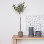 faux olive tree on a console table