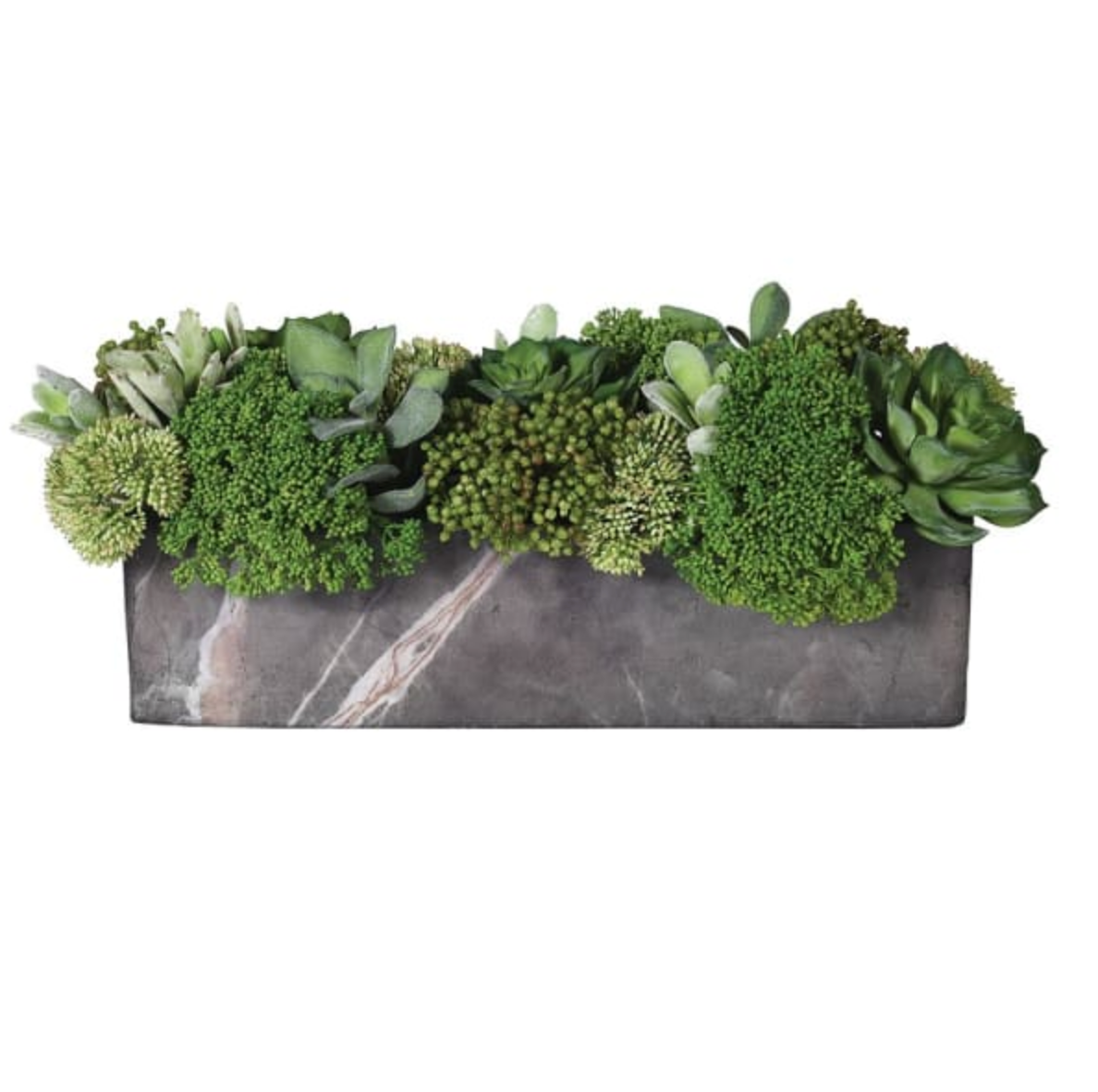 A striking selection of skimmia and succulents in a faux marble planter.
