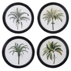 A set of four palm framed wall art pieces complete in a distressed black round wooden frame.