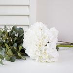 white hydrangea stem