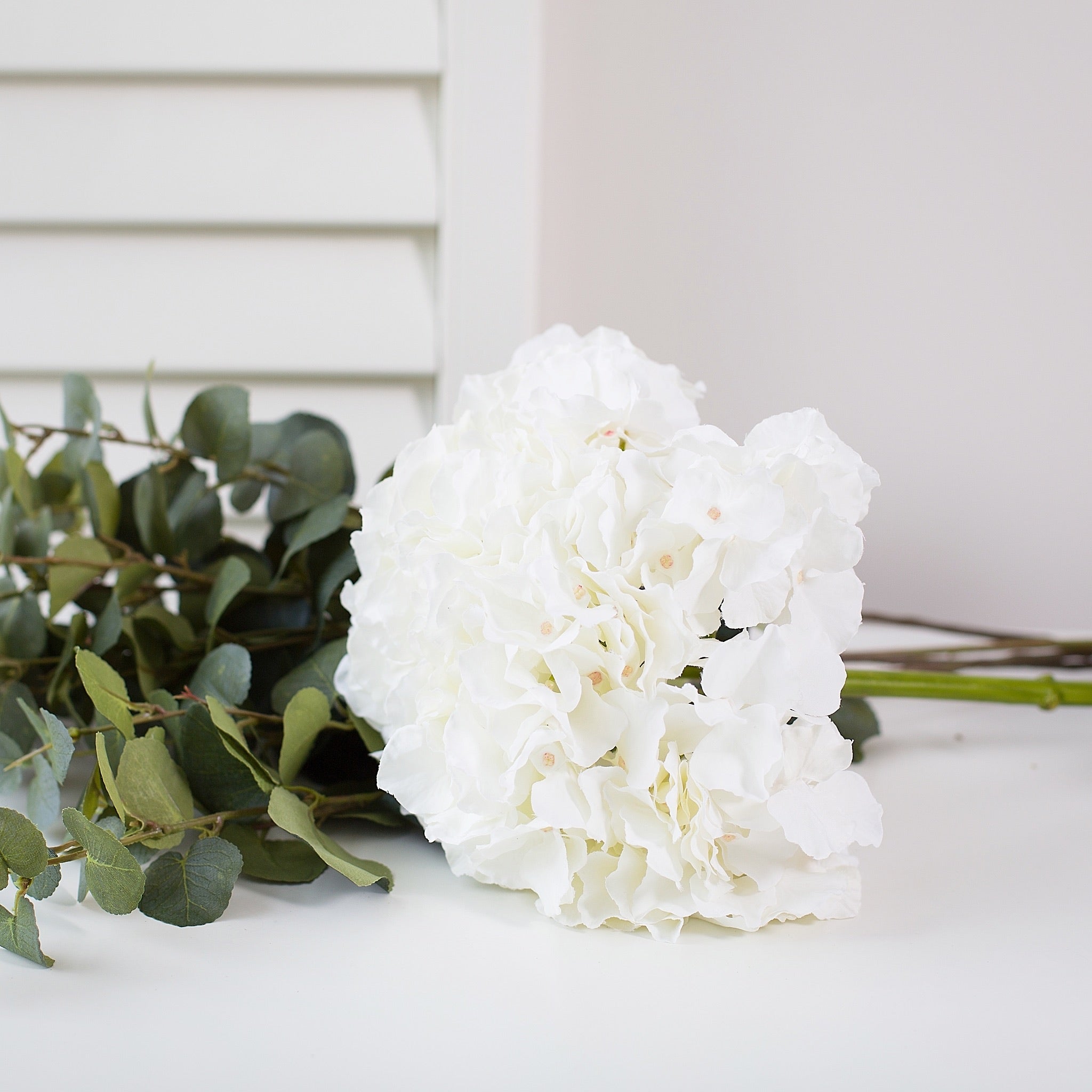 white hydrangea stem
