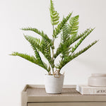 faux potted fern