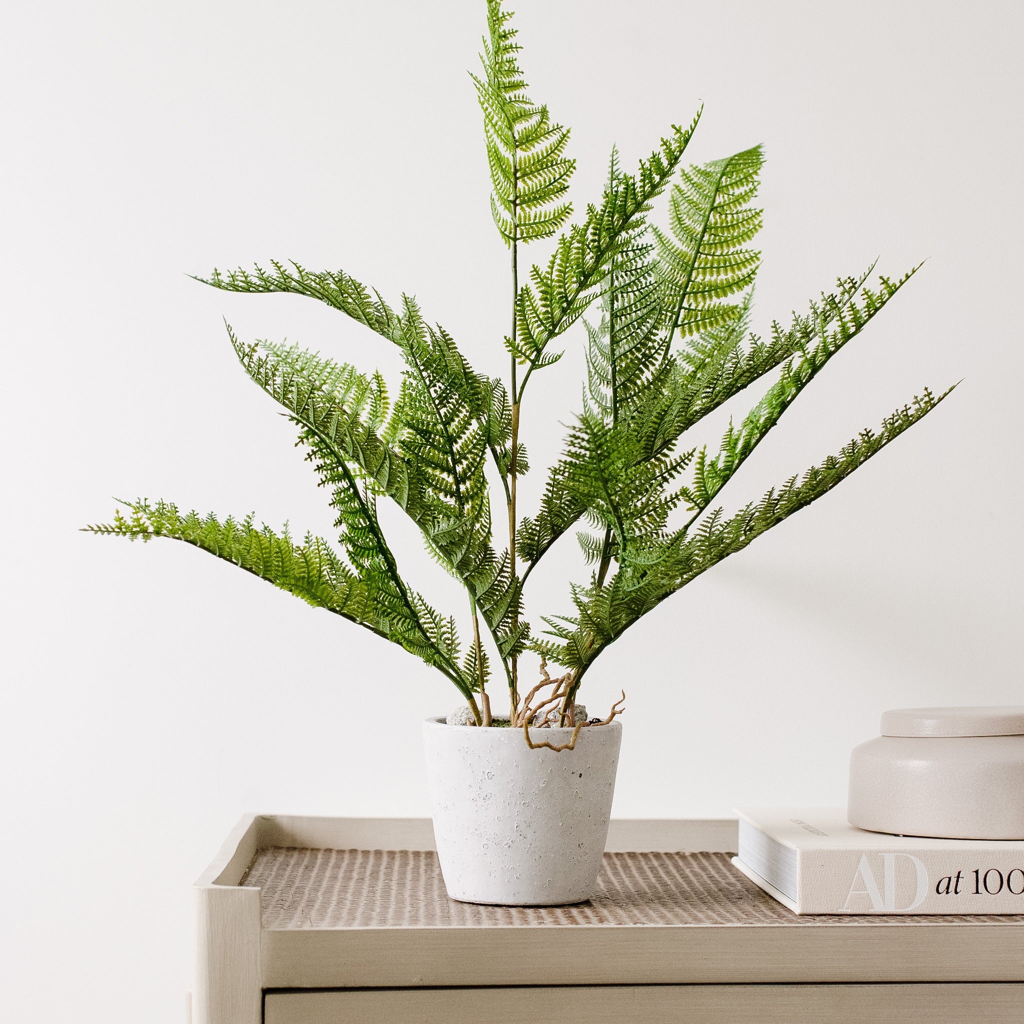 faux potted fern
