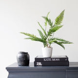faux potted fern